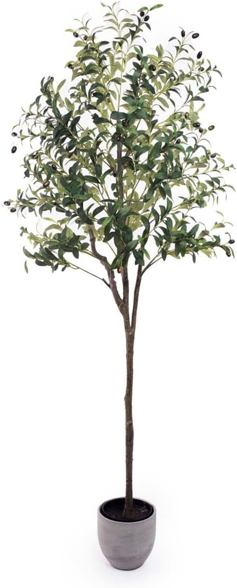 Povy 6ft (71”) Artificial Olive Tree Tall Fake Tree Potted with Planter Branches and Fruits, Su... | Amazon (US)