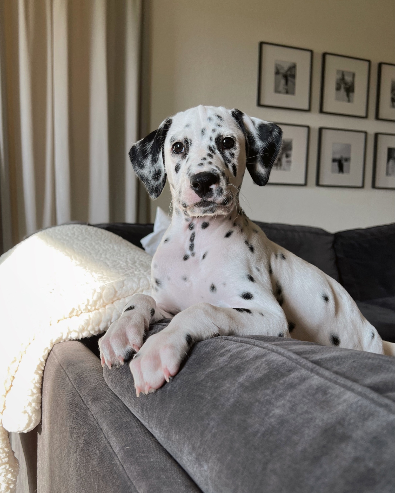 home decor 

#LTKHoliday #LTKSeasonal #LTKhome