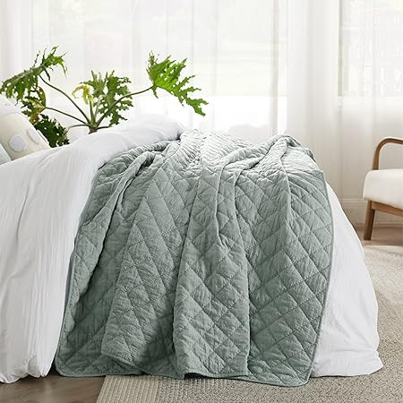 Bedsure Quilt Queen Size Green, Elegant Diamond Pattern, Ultra Soft and Lightweight Bedspreads & ... | Amazon (US)