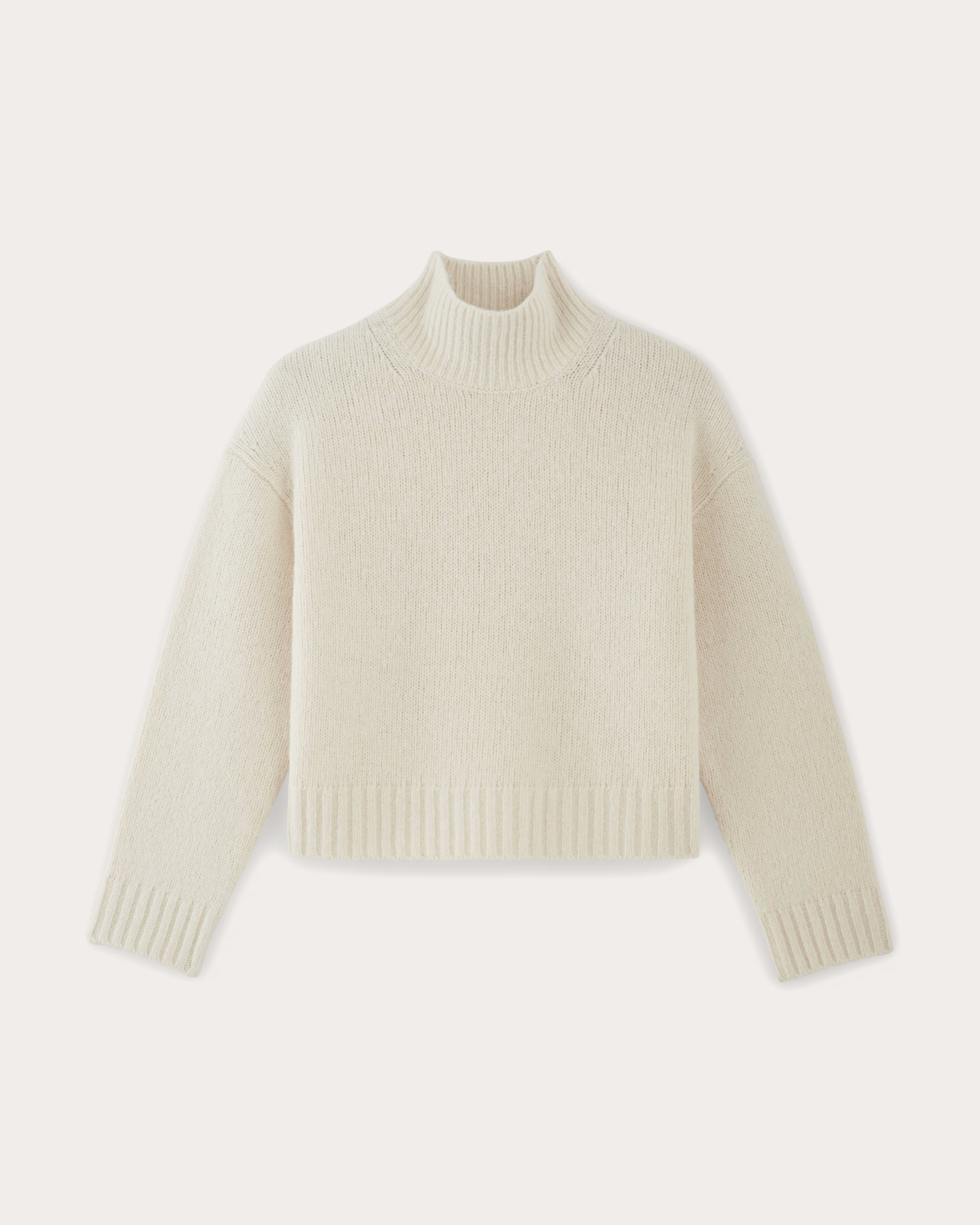 The Cloud Oversized Turtleneck | Everlane
