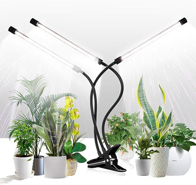 GHodec Grow Light for Indoor Plants,6000K 126LED Clip Plant Lights with Flexible Gooseneck & Time... | Amazon (US)