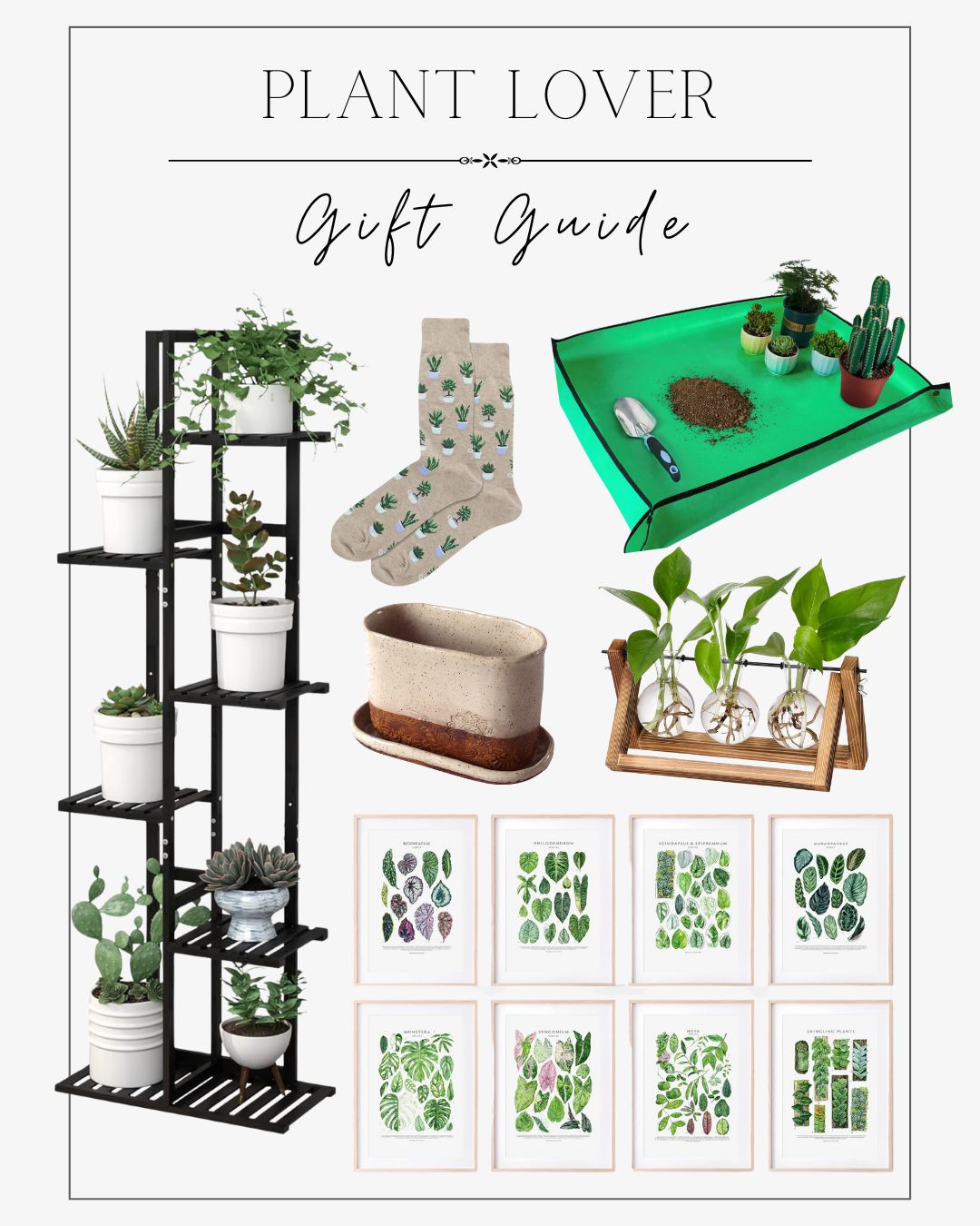 🌿 Gift Guide for Plant Lovers 🌿

 

#LTKHoliday #LTKHome #LTKGiftGuide