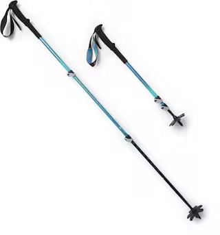 Black Diamond   Trail Back Trekking Poles - Pair | REI