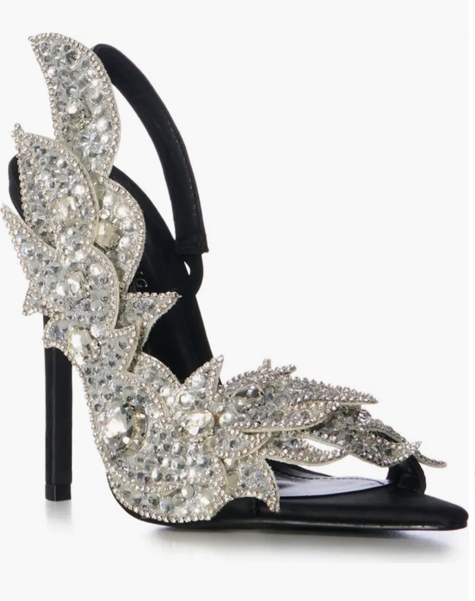 Special Occasion Shoes ✨✨✨✨ #specialoccasion #heels 

#LTKbeauty #LTKshoecrush #LTKstyletip