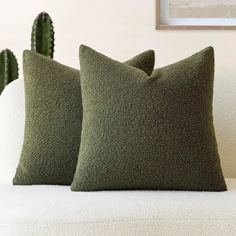 Foindtower Pack of 2, Curly Faux Fur Decorative Throw Pillow Covers Soft Neutral Plush Cushion Case with Zipper Cozy Modern Pillowcase for Home Living Room Couch Bed Sofa 20 x 20 Inch, Moss Green | Amazon (CA)