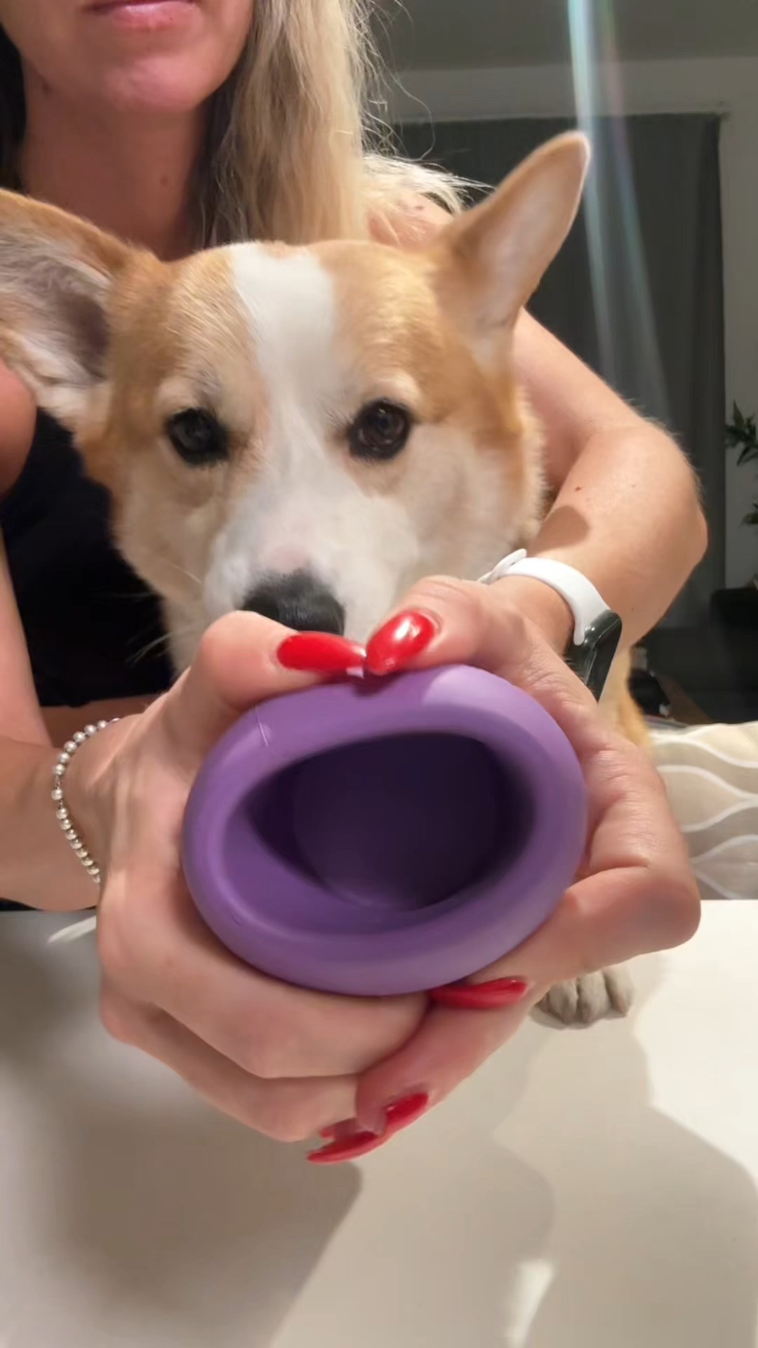 Fav treats 

#LTKPets #LTKHome