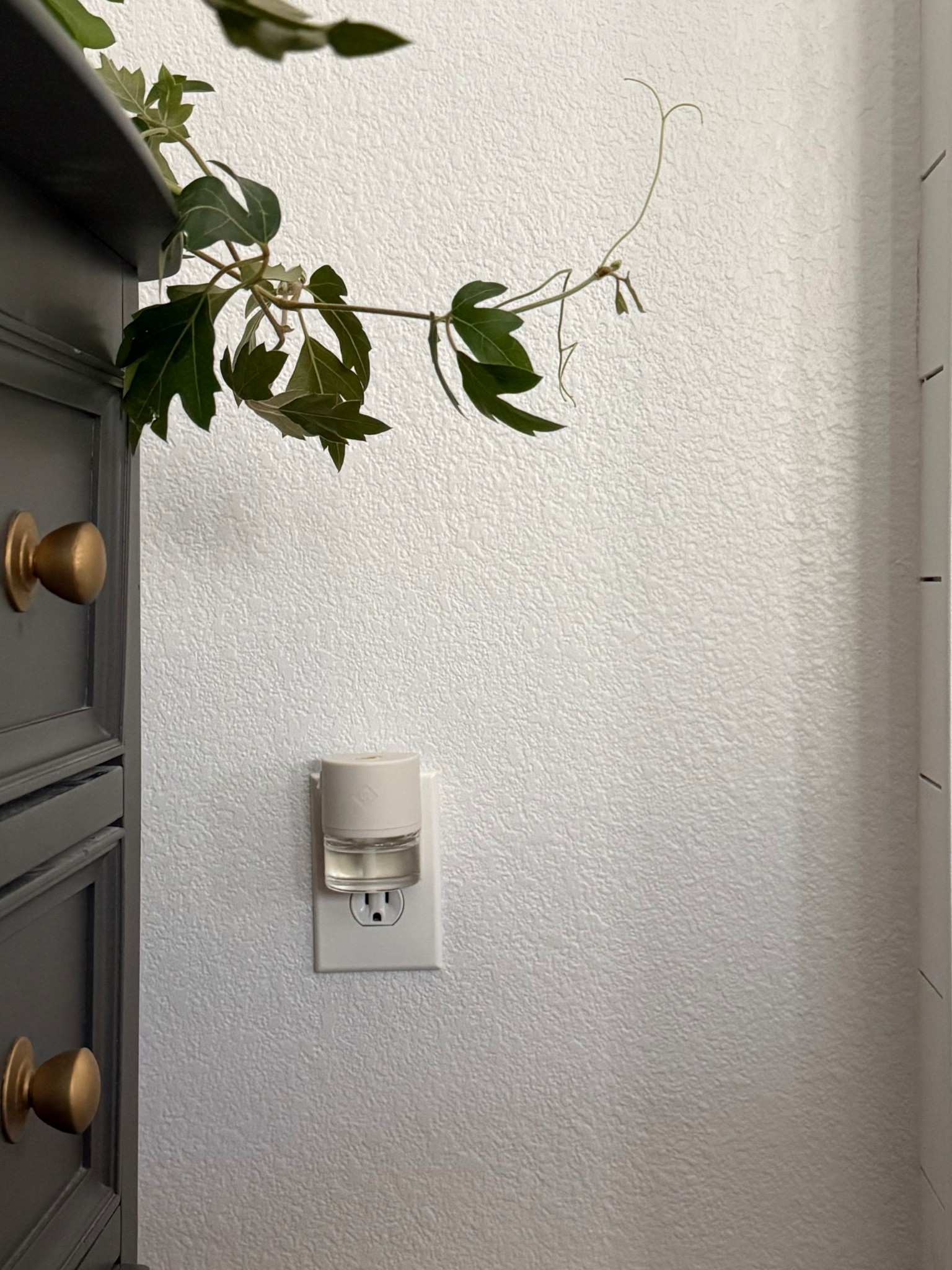 My favorite wall plugin scents from Claire Burke 

#LTKHome