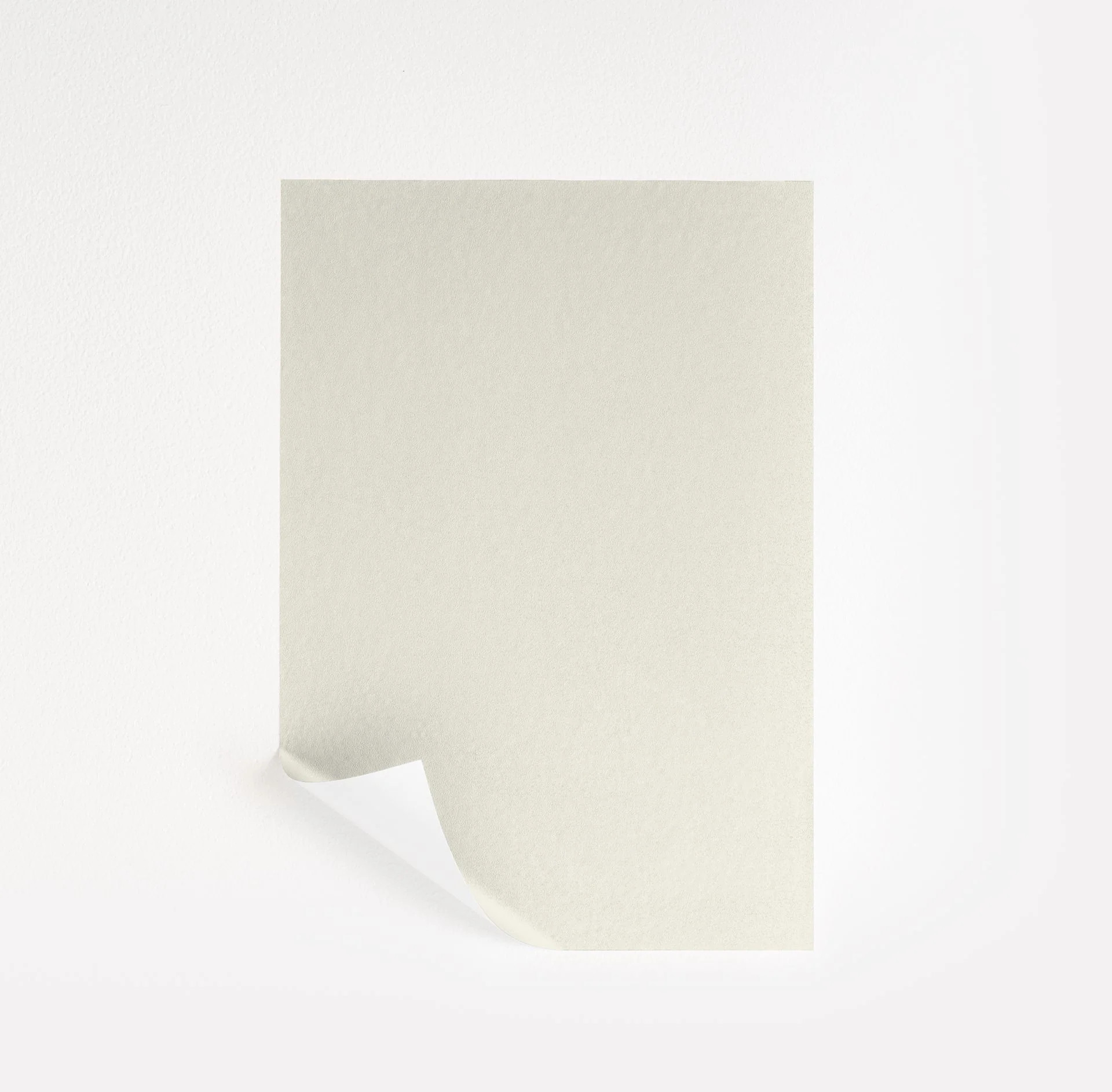 Paper Mache Paint Sample by Benjamin Moore (AF-25) | Peel & Stick Paint Sample | Samplize