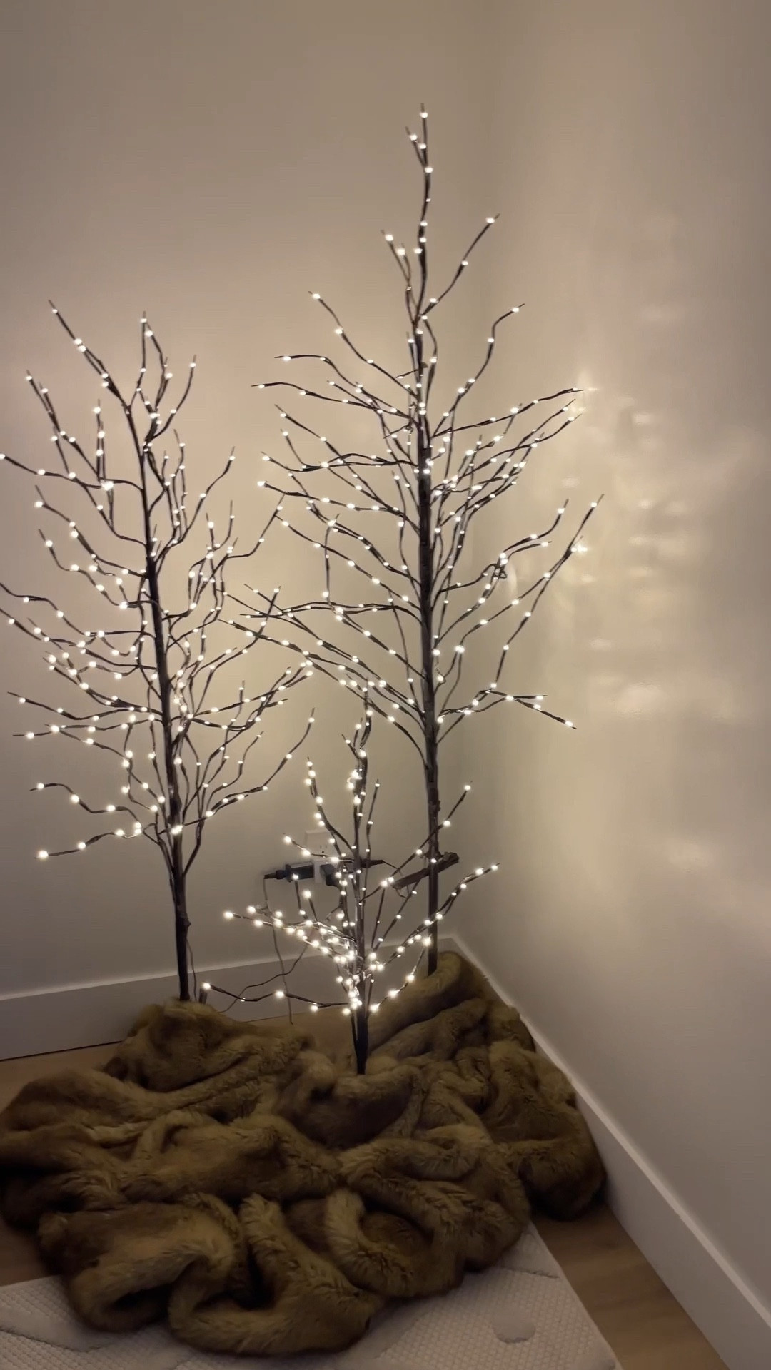 Christmas twinkle trees

#LTKSaleAlert #LTKHome #LTKSeasonal