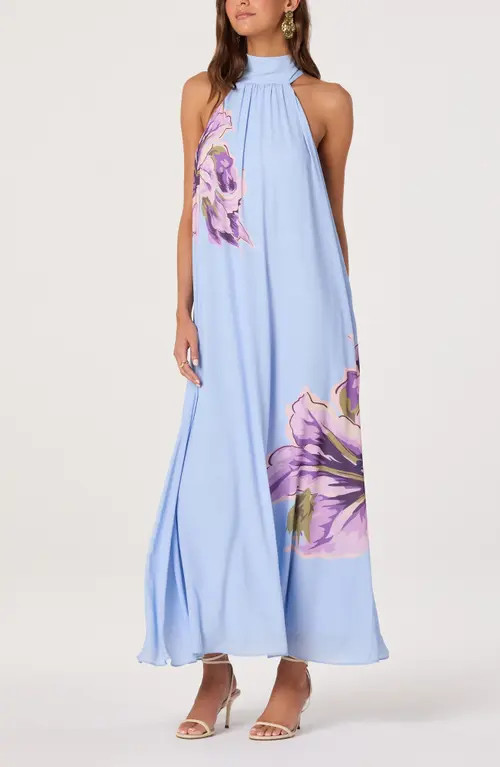 ASTR the Label Nesta Floral Print Halter Dress in Blue at Nordstrom, Size Small | Nordstrom