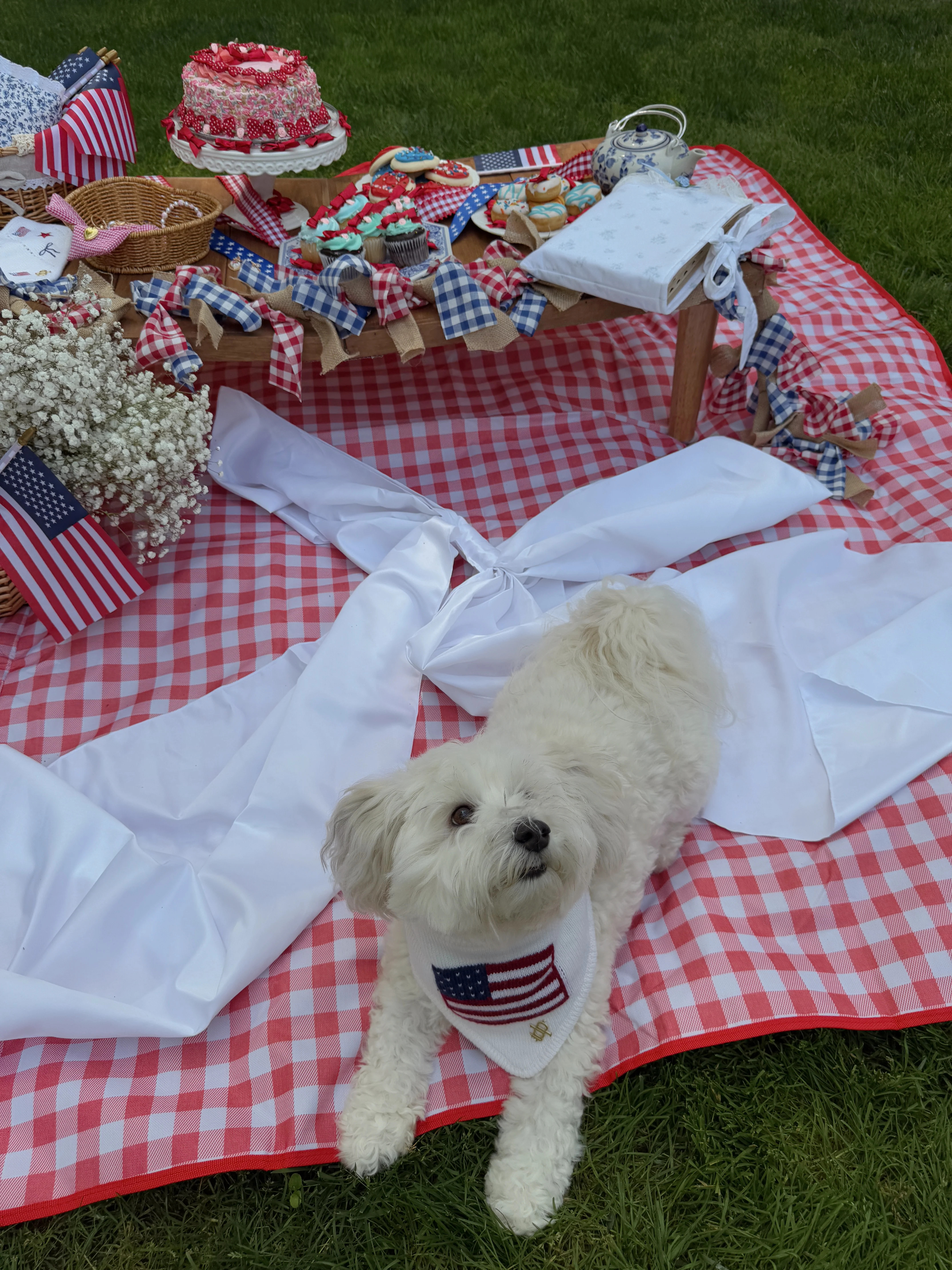 Bow & Stripe Dog BANDANA | Shop Your Darling Style