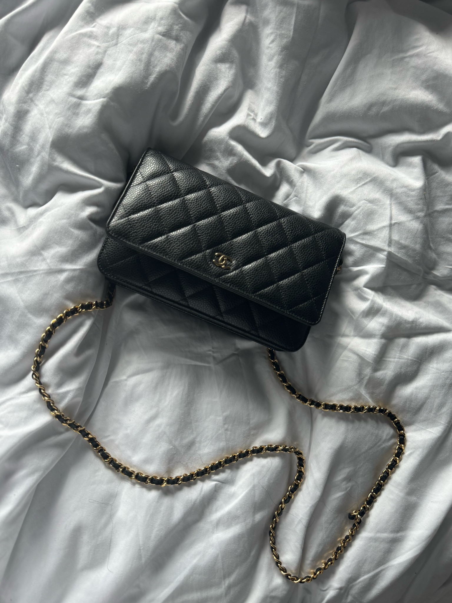 What’s your fav mini bag? 

#LTKitbag #LTKstyletip #LTKMostLoved