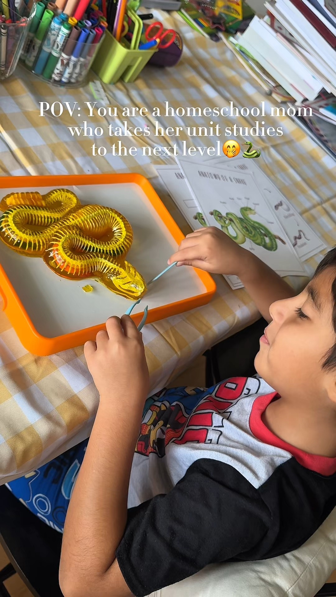 Homeschool activity

#LTKFamily #LTKKids #LTKHome