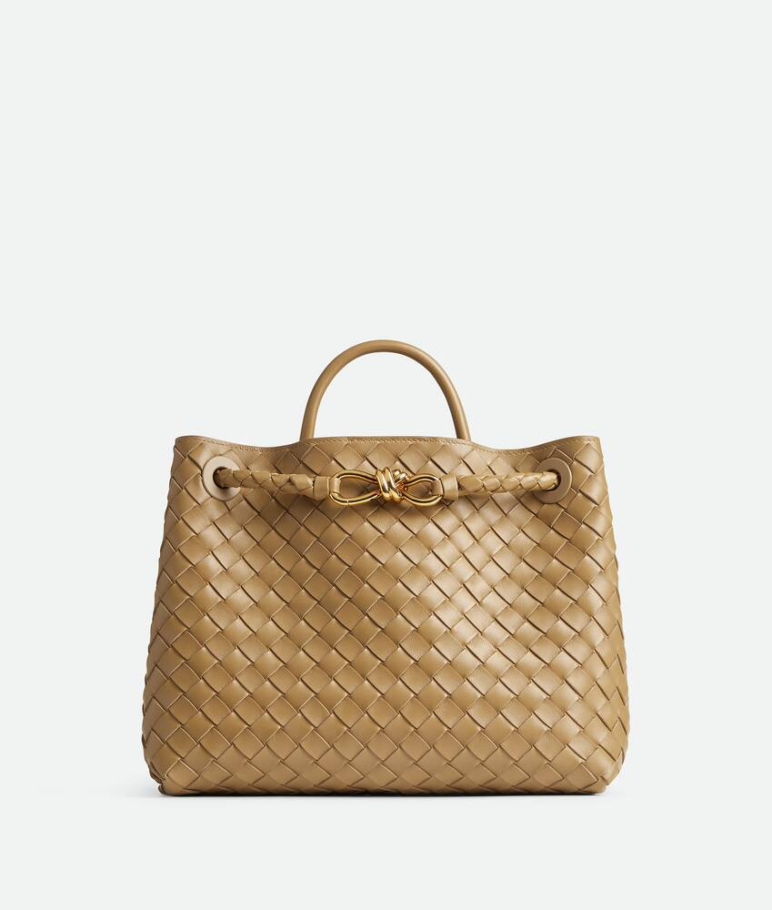 Medium Andiamo | Bottega Veneta