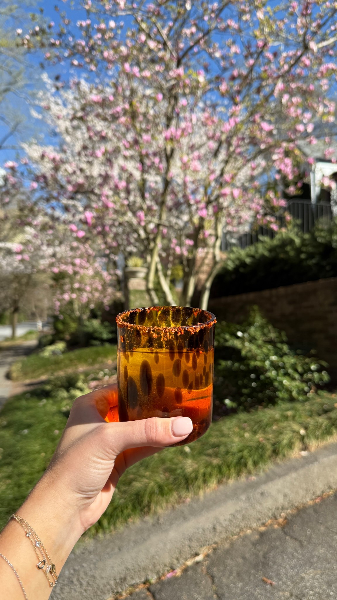 The cutest tortoise glassware cups under $15 for a set of 4!!! 🤍🤎

#LTKWatchNow #LTKHome #LTKFindsUnder100