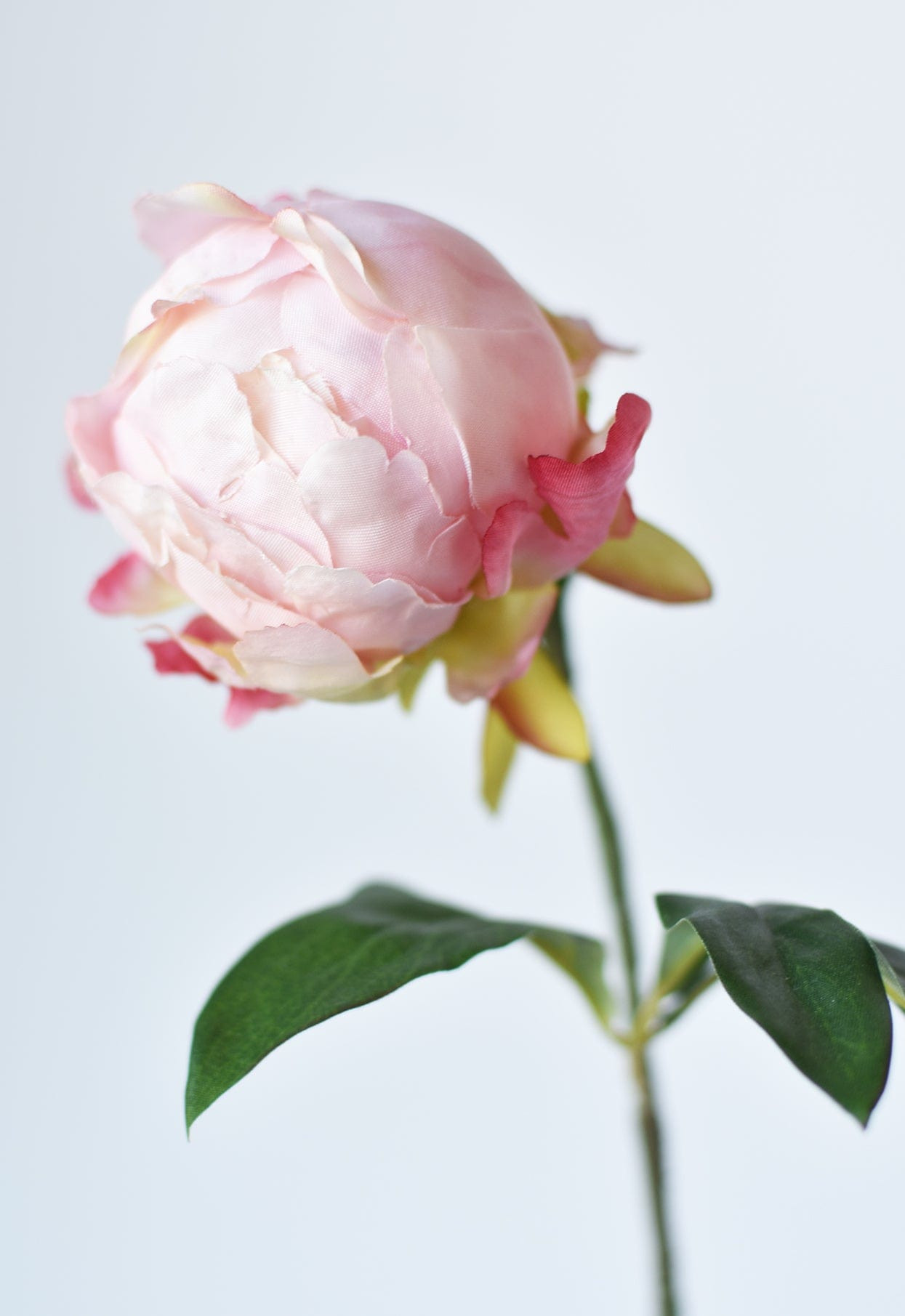 18" Faux Peony Bud Stem Light Pink | HouseFloral
