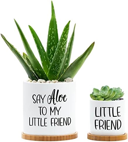 Say Aloe to My Little Friend Planter Plant Lover Set of 2 Spring Funny Pun Flower Pot with Bamboo Tr | Amazon (US)