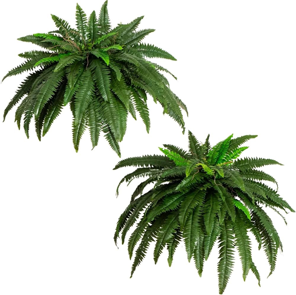 Nearly Natural 48-in Artificial Boston Fern, Set of 2, Large Hanging Fake Plant Wall Decor with 6... | Amazon (US)
