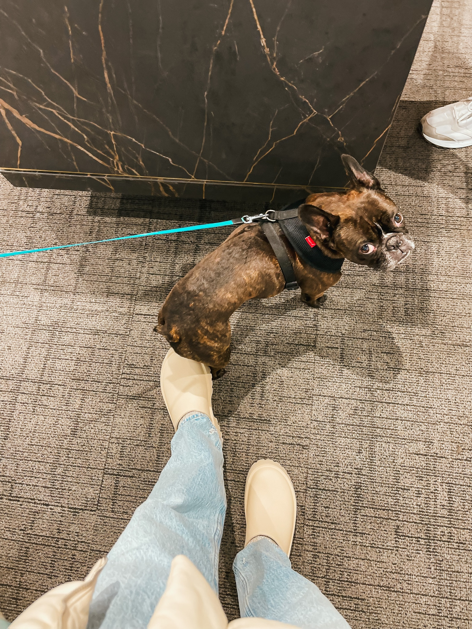 Easy Errands outfit
- chunky almond mules
- platform sandals 
- 90s straight jeans
- faux leather for spring
- oversized ivory puffer vest
- faux leather button front vest
#ltkseasonal #ltkfind #ltkshoecrush

#LTKsalealert #LTKunder50 #LTKunder100