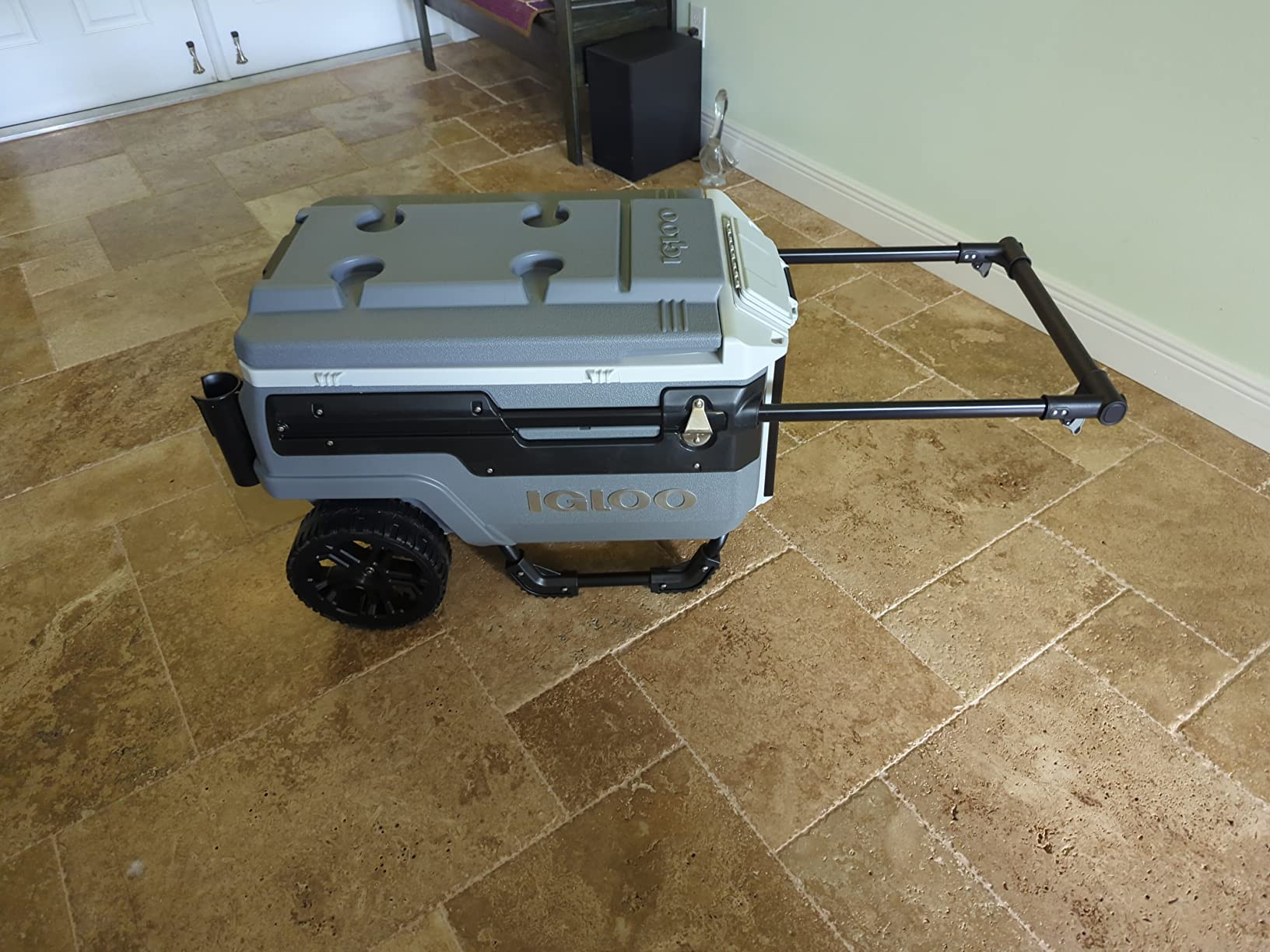 Visit the Igloo Store | Amazon (US)