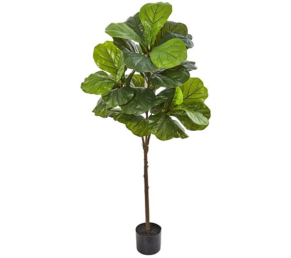 54" Fiddle Leaf Artificial Tree by Nearly Natural | QVC
