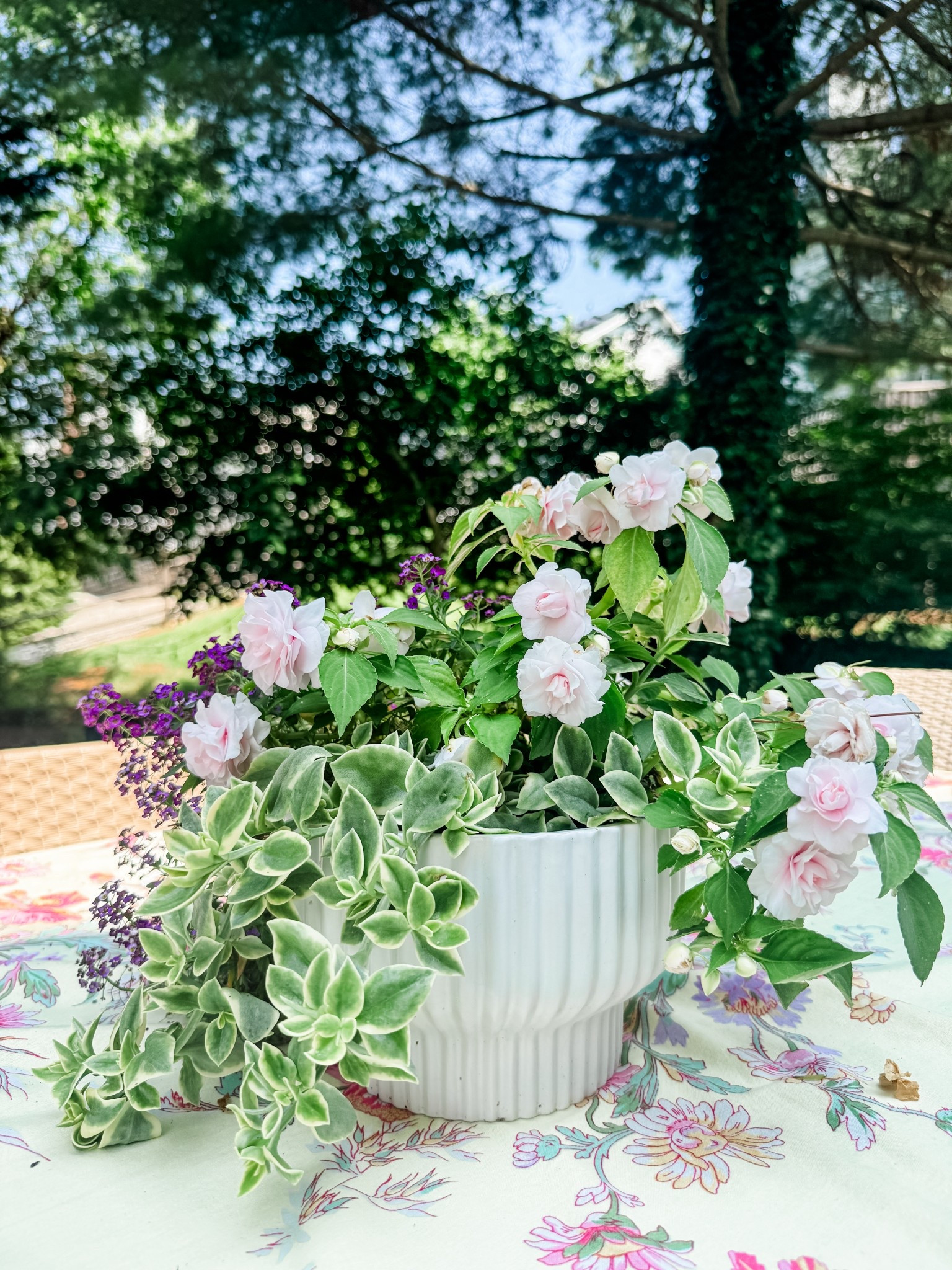 Walmart fluted planter
Outdoor planter
Small ribbed planter
Pot planter
White ceramic planter
Better Homes & Gardens Pottery Ceramic Pot


#LTKHome #LTKSeasonal #LTKStyleTip