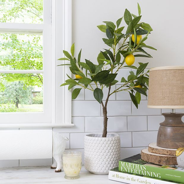 Potted Faux Lemon Tree | Antique Farm House