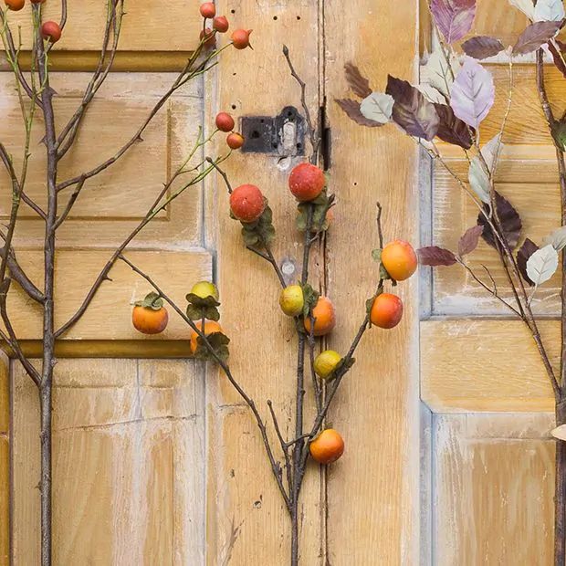 Decorative Persimmon Branch | Antique Farm House