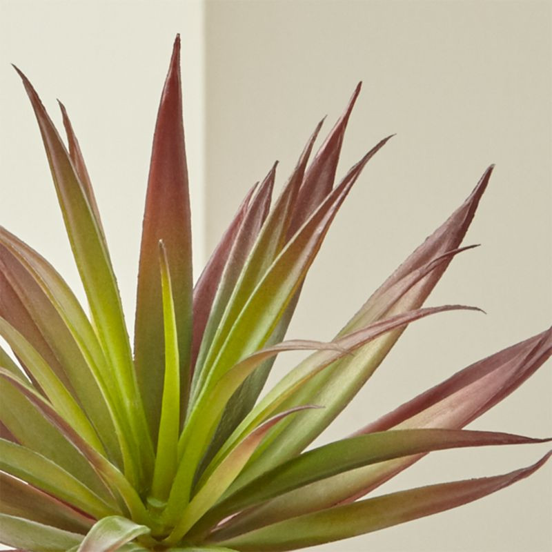 Red Artificial/Faux Yucca Succulent Stem + Reviews | Crate and Barrel | Crate & Barrel
