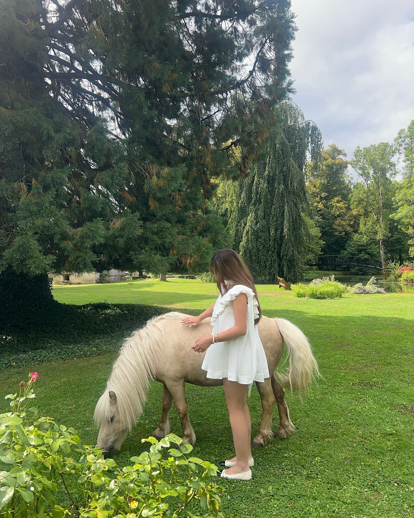 i ‪♡ ponies

#frenchcountryside #frenchchateau #whimsy #cottagecoreaesthetic #cottagecorefashion #slowfashionblogger #slowfashionstyle #slowlivingmovement #asianfashionblogger #ootds #pinterestaesthetic #pintrest