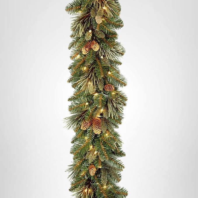 National Tree Company 9 ft Pre-Lit Carolina Pine Artificial Christmas Garland, Christmas Decorati... | Amazon (US)