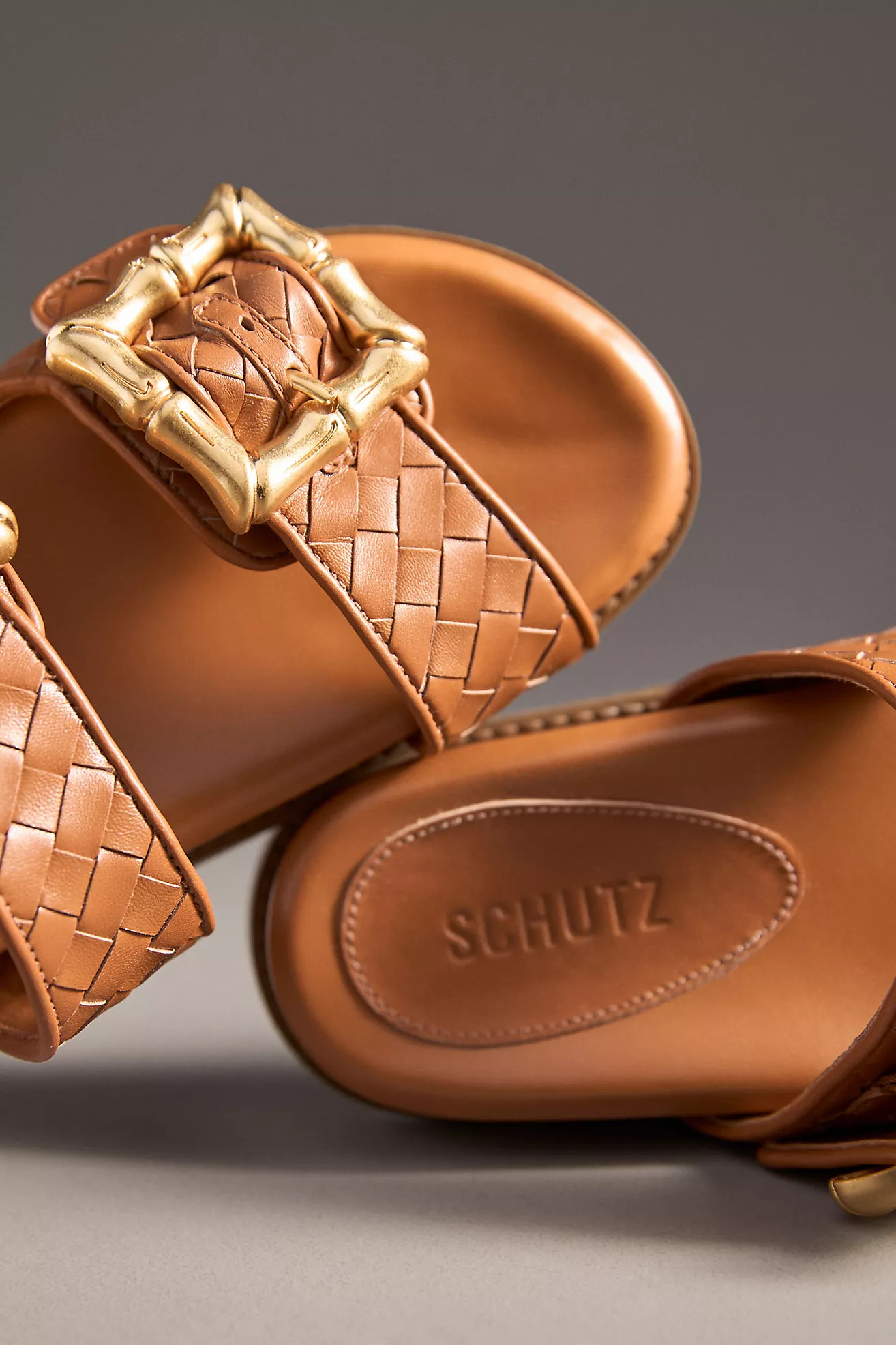 Schutz | Anthropologie (US)