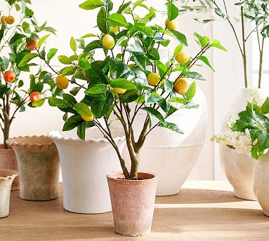 Faux Potted Lemon Topiary | Pottery Barn (US)