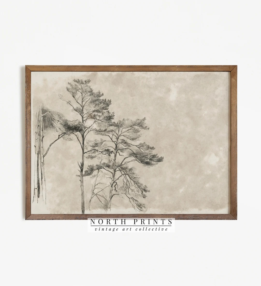 Antique Rustic Tree Sketch  Neutral Vintage Digital Art - Etsy | Etsy (US)