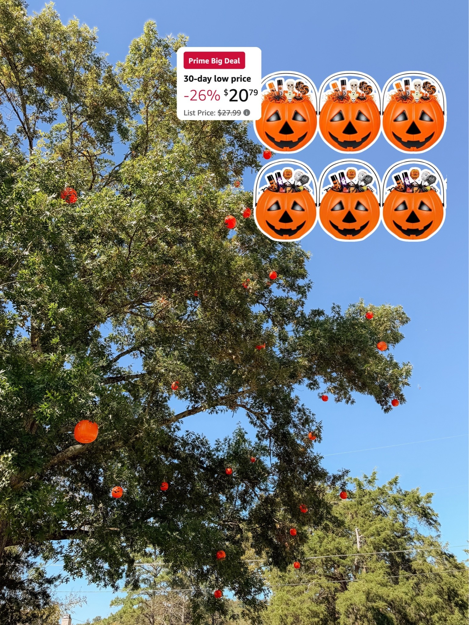You can never have too much Halloween decor. We covered our entire tree in our front yard in these pumpkin buckets!