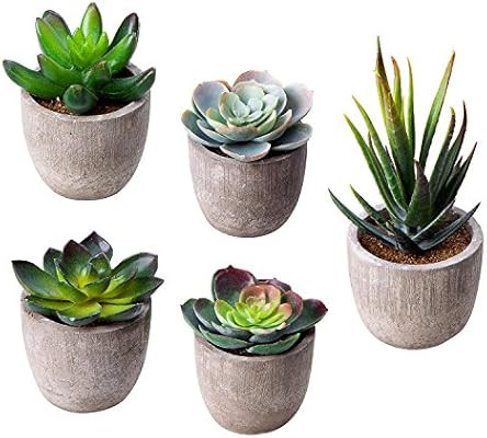 MoonLa Artificial Succulent Plants, Assorted Decorative Faux Succulent Potted Fake Cactus Cacti P... | Amazon (US)