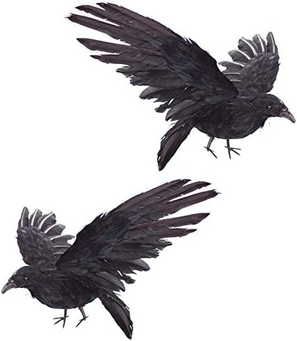 2-Pack Realistic Crows Lifesize Extra Large Handmade Black Feathered Crow for Halloween Decoratio... | Amazon (US)