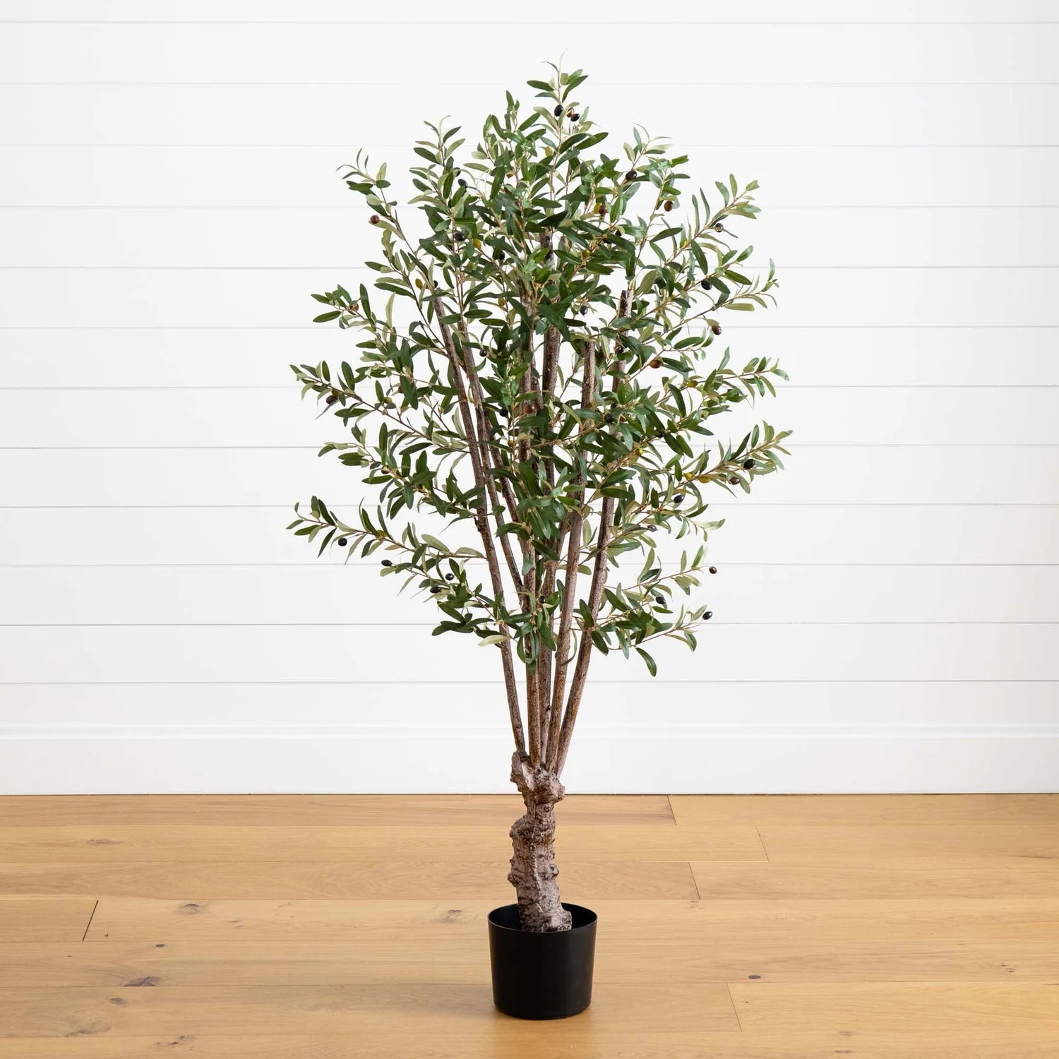 5' Olive Silk Tree | Nearly Natural | Nearly Natural