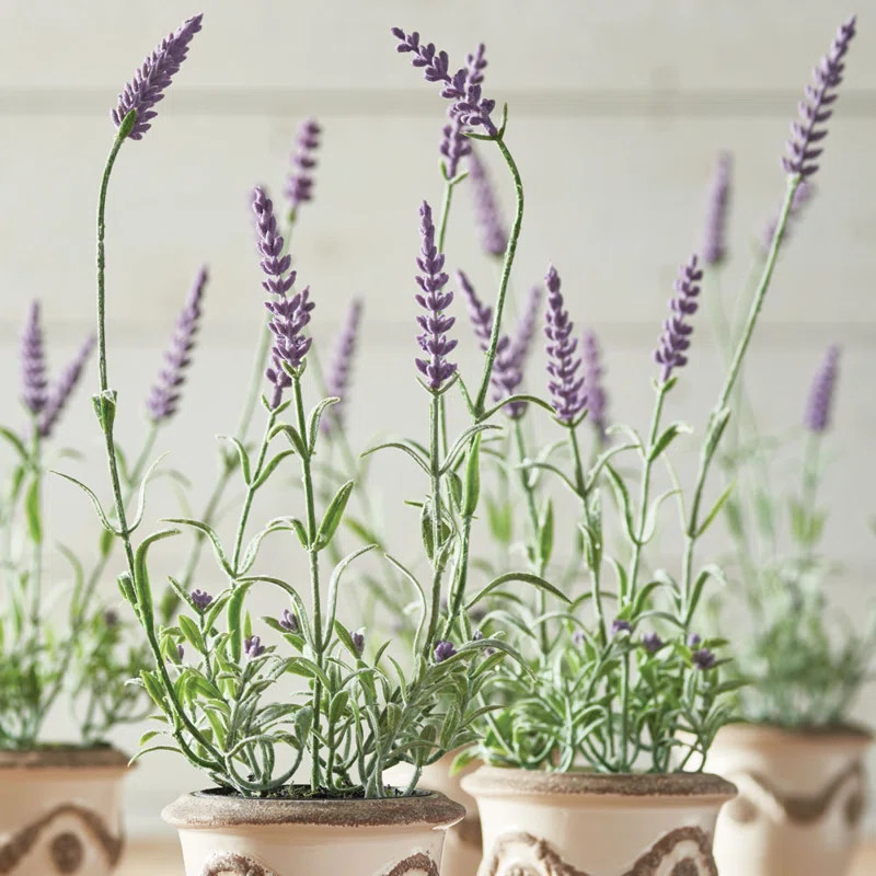 Alina French Lavender 13" Drop-In (Set of 6) | Wayfair North America
