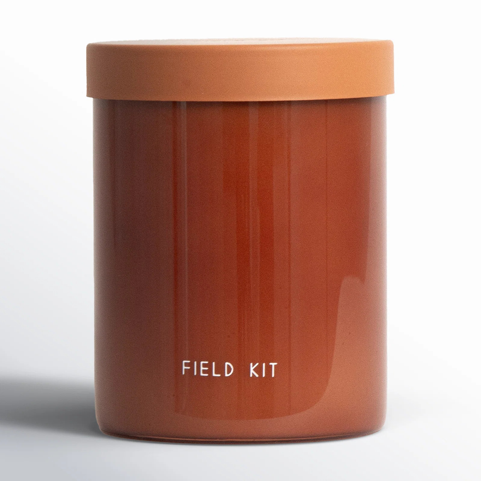 The Fire Woodsy Scented Jar Candle | AllModern