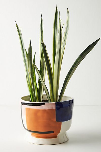 Sharona Pot | Anthropologie (US)