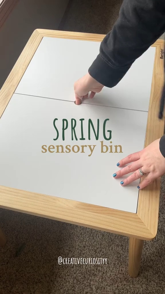 Spring Sensory Bin

#LTKSeasonal #LTKkids #LTKfamily