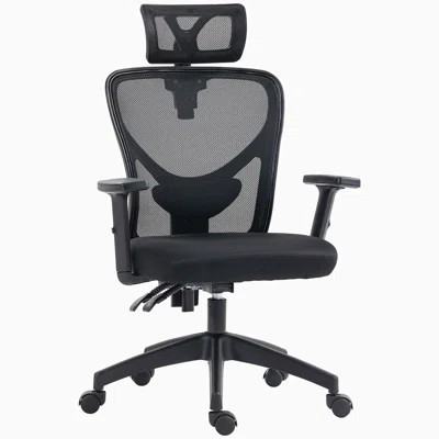 High Back Ergonomic Computer Home Office Chair, Mesh Task Chair With Lumbar Back Support, Reclining Function, Adjustable Headrest, Arms And Height | Wayfair North America