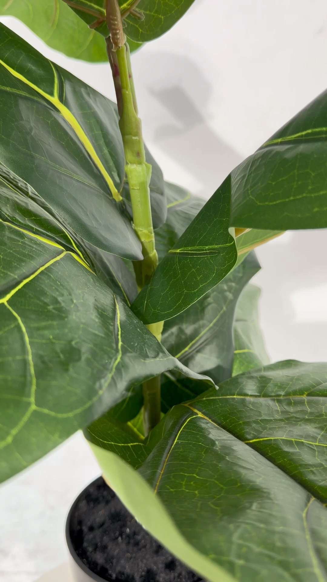 Two of my new favorite perfumes from @Havyn Co 😍 The travel size is perfect for throwing in my purse! 

#LTKBeauty #LTKTravel #LTKSpringSale