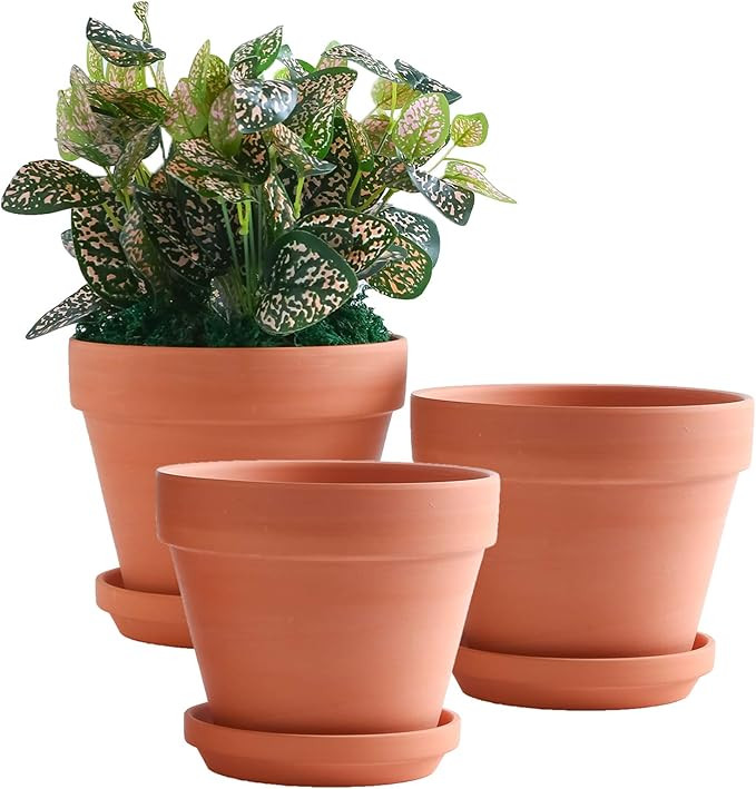 Yishang 8 Inch Clay Pot for Plant with Saucer - 3 Pack Large Terra Cotta Plant Pot with Drainage ... | Amazon (US)