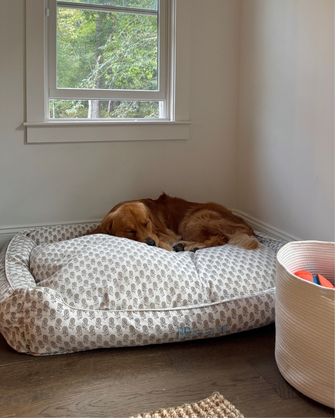 Beau’s dog bed! 

#LTKhome