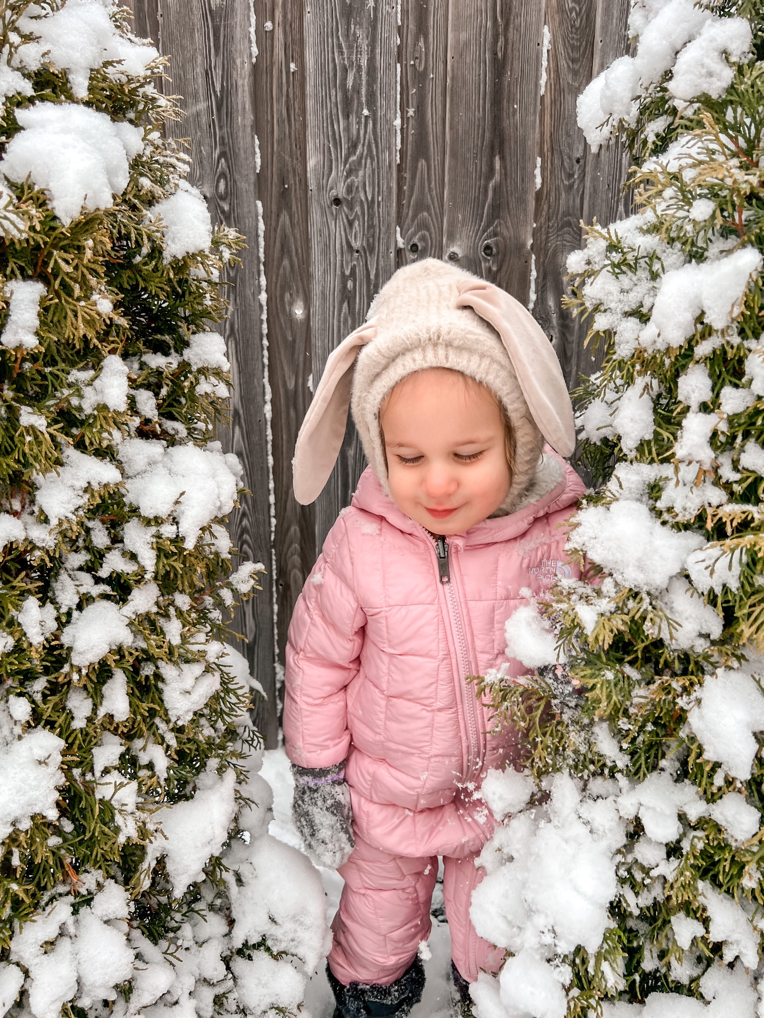 Northface cute pink snowsuit for little toddler 🥰

#LTKkids #LTKbaby #LTKfamily