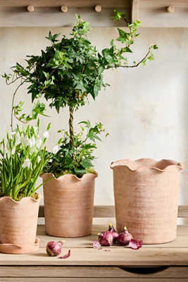 Terracotta Pie Crust Rim Planter, Straight Side | Anthropologie (US)