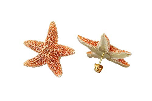 Real Starfish Earrings | Amazon (US)