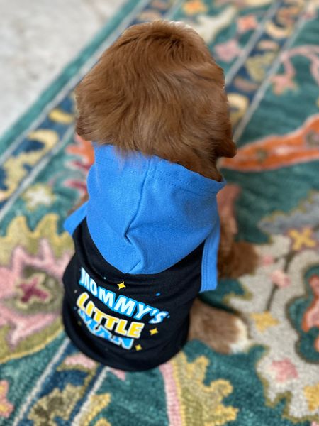 Mommy’s little man hoodie for dogs. #hoodie #shirts #dogs #doggieclothes #fashion 

#LTKBaby